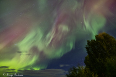 Jokkmokk