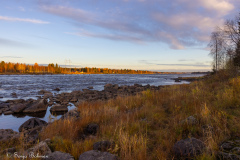 Kukkolaforsen Kukkolaforsen