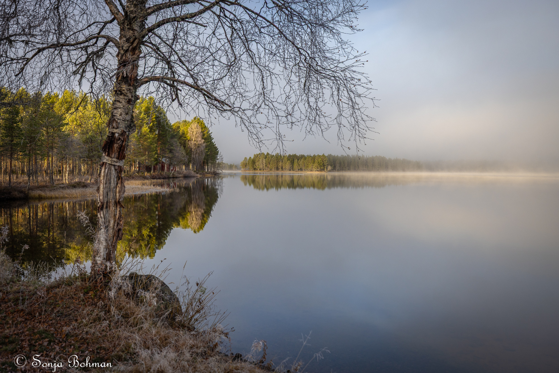 Moskosel