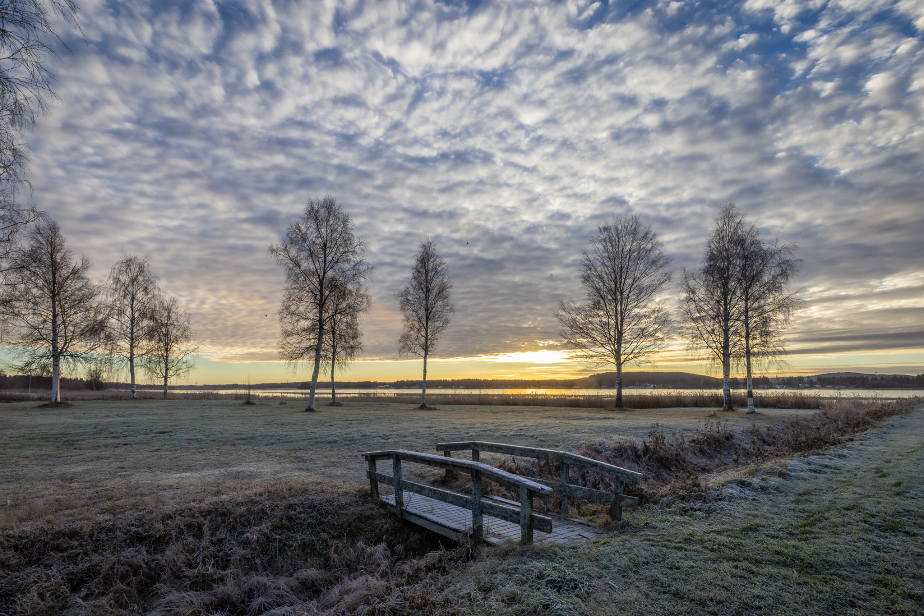 Piteå