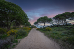 Falesia, Portugal