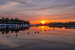 Grisslehamn