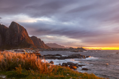 Hamnöy, Lofoten