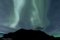 Gullesfjord