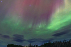 Jokkmokk